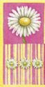 Daisies in Bloom (pink) pocket tissues