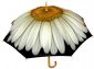 Harold Feinstein Umbrella