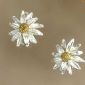 Silver Seasons daisy earrings (clips)