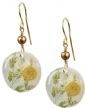 Needle daisy on shell earrings